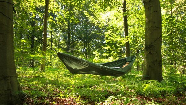 Hamaka Camping zavěšená v lese