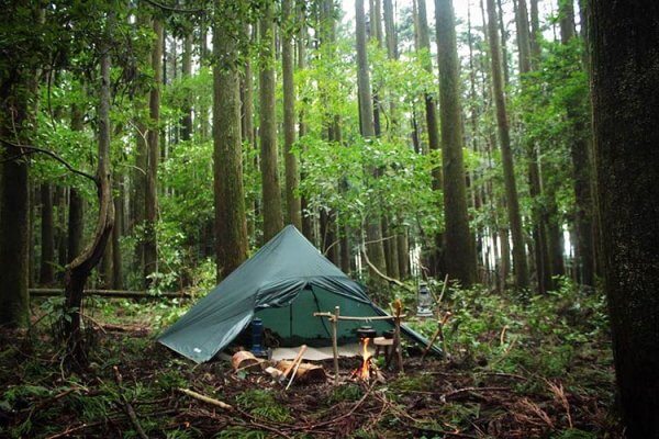 Ultralehký stan DD Hammocks Pyramid XL Tent v lese